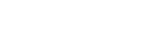Toposcan B30